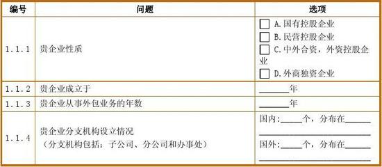 軟件與信息服務外包 現(xiàn)代企業(yè)的戰(zhàn)略選擇