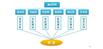 專業(yè)測試與軟件外包 雙輪驅(qū)動，賦能企業(yè)數(shù)字化轉(zhuǎn)型